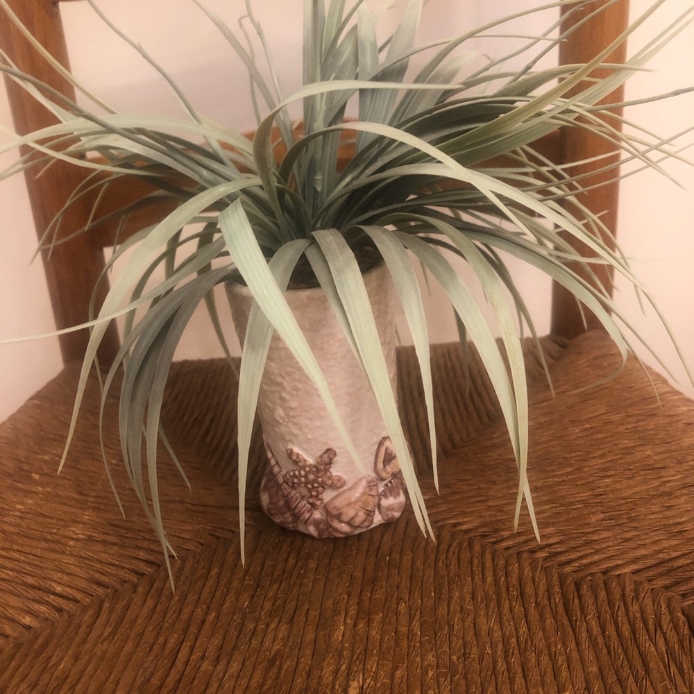 Decorative Faux plant decor in vase with seashell design beach vibes